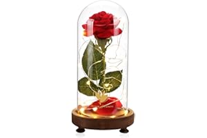 DREAM OF FLOWERS Cadeau fête des mères,Rose Eternelle, La Belle et la Bête Élégant Dôme en Verre avec Lumières LED Pine Base, Anniversaire Mariage Fetes de Meres fête des mères
