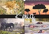 Kenia (Wandkalender 2019 DIN A3 quer): Tiere und Landschaften, fotografiert in Kenia (Monatskalender, 14 Seiten ) (CALVENDO Orte) by 