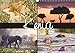 Kenia (Wandkalender 2019 DIN A3 quer): Tiere und Landschaften, fotografiert in Kenia (Monatskalender, 14 Seiten ) (CALVENDO Orte) by 