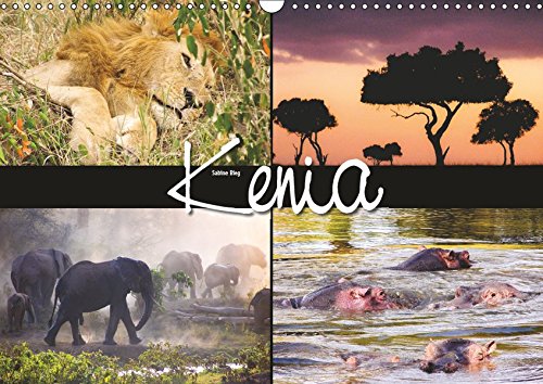 Kenia (Wandkalender 2019 DIN A3 quer): Tiere und Landschaften, fotografiert in Kenia (Monatskalender, 14 Seiten ) (CALVENDO Orte)