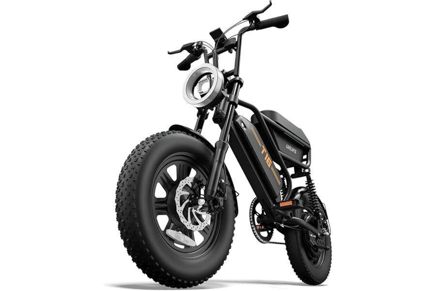 URLIFE 16" x 3.0 Electric Bike, 48V 13Ah Removable Battery, 250W Brushless Motor, 120km Range, Ebike with Dual Suspension, Lockable Storage Box for Teenagers and Adults (Black)