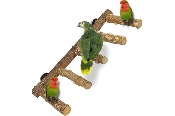 QeeHeng Perchoir en Bois Naturel pour Perroquet, perchoir à Oiseaux étagé, Jouets pour Cage à Oiseaux de Petite et Moyenne Taille