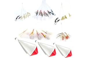 ‎NEPTUNMASTER Neptunmaster Set - 5 Heringsvorfächer + 3 Heringsbleie - Angelset, Angelzubehör zum Angeln auf Heringe, Meereszubehör