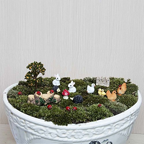 SecretRain 18 tlg.Miniatur Garten Deko Set Mini-Szene Ausschmückung Puppenstuben Pflanze Dekor als Geschenk (38 Stück) - 4