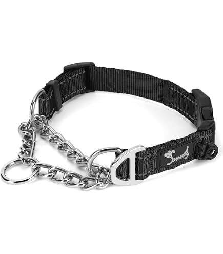 Martingale Chain Chain Dog Collar Chain Training Dog Collar Chain ...