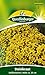 Produktbild Steinkraut Goldkörbchen QLB Basis Saatgut Blumen zweijährig (Liefermenge=3)