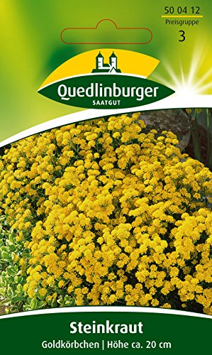 Preisvergleich Produktbild Steinkraut Goldkörbchen QLB Basis Saatgut Blumen zweijährig (Liefermenge=3)