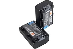 DSTE ELECTRON DSTE 2PCS NP-FH50 Li-Ion Akku Kompatibel mit Sony DSLR-A330, DSLR-A380, DSLR-A390, DSC-HX1, DSC-HX100V, DSC-HX200V, HDR-TG5V, HDR-TG1E, HDR-TG3, HDR-TG5, HDR-TG7