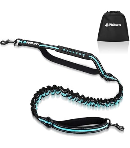 Kurgo RSG Dog Stub Leiband, Hond Walking Lead, Verstelbaar, MOLLE Compatible, Coastal Blue