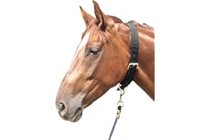 Reitsport Amesbichler AMKA Neck Strap Nylon Tie Belt for Horses Double Nylon with Buckle and Ring Black