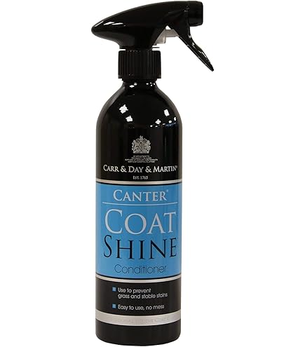 Carr & Day & Martin Dreamcoat Ultimate Coat Finish Spray - 1 Litre