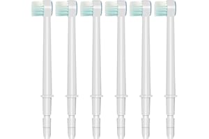 RAXSEG Replacement Tips for Waterpik Aquarius Water Flosser Waterpik Toothbrush Replacement Heads Toothbrush and Oral Irrigators (6 Brush Head Tips)