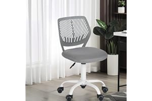 FurnitureR Writing Task Chair Ergonomic Kids Teens Boys Girls Study Chair - Adjustable Height Swivel Computer Laptop Desk Chair for Home,Office,Study Room