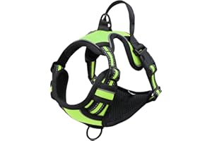 Bihotzak Arnes Perro Pequeño Mediano Grande sin Tirones Accesorios para Perros Ajustable Transpirable Reflectante con Cierres de Seguridad (Verde, M)