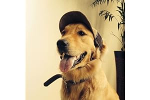 YJZQ Baseballkappe für Hunde, Baseballmütze, verstellbar, mit Ohrlöchern, Sonnenhut, atmungsaktiv, für große Hunde, Größe L, Kaffeeblau