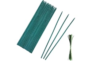 YONG-SHENG Plant Support Sticks, 30cm Green Flower Plant Support Stakes,Green Bamboo Sticks for for Garden or Home Floral Picks Gardening Tripods Making