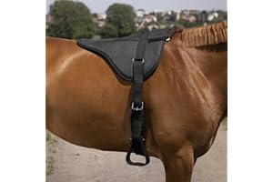 EQUITHÈME NORTON Reitpad „Silicone“, Warmblut, schwarz