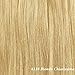 10-22" inches 70g-110g Full Head Clip in 100% Real Remy Human Hair Extensions Blonde Straight 8 Pieces Standard Weft (10"-70g, #613 Bleach Blonde)