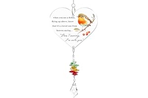 MOSUNOLD Robin Memorial Gifts, Warm Hanging Heart Plaque Present Acrylic Plaque Gifts with Poem to Remember Loved Ones