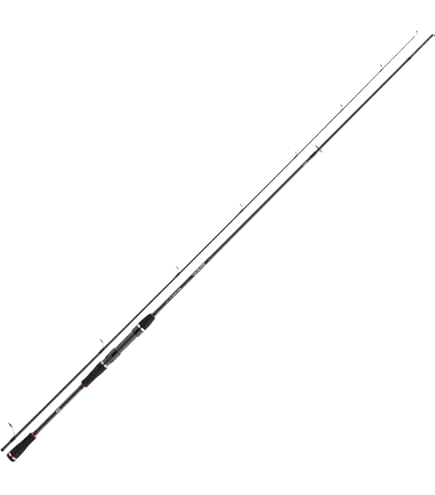 DAIWA Exceler FC Catfish Bouée 3,00m 200-600g Welsrute Wallerrute 4059845161793
