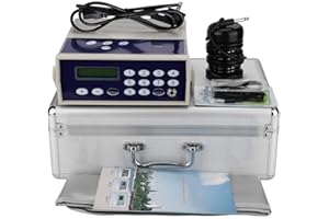 YUYTE Ionische Fußwärmemaschine, Fußbad Detox Ion Cleanser Classic Detox Set, Ionenreinigung Fußbad Spa, Entgiftung Des Taillengürtels Für Frauen Und Männer (02)