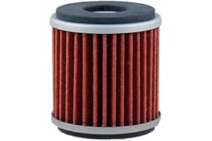 HIFLOFILTRO Filtro Olio HF141, nero