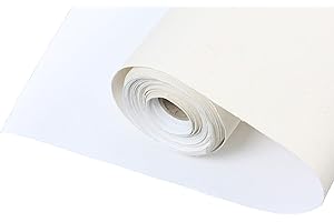 ‎PAINTERSISTERS Paintersisters Leinwand auf Rolle 10m x 100cm aus 100% BW 380gr/m², mehrfach vorgrundiert, Leinwandrolle