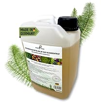 goldfruchtpalme dngen Goldfruchtpalme (Dypsis lutescens) kaufen