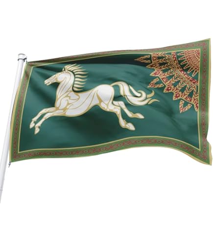 Bandiera Dei Cavalieri Templari 60x90 Cm - Ordine Del Tempio Crociata - Gonfalone Baussant In Poliestere 100D Con Occhielli Metallici Per Interni Ed Esterni - AZ FLAG