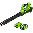 Greenworks 40V (115 MPH / 430 CFM) Brushless Axial Leaf Blower, 2.0Ah Battery and Charger Included