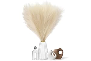 PCKOBEVER 5 Pcs Natural Dried Artificial Pampas Grass, 31.5''/80cm Tall Fluffy Faux Decor, Bouquet Flora Feathers For Home Vases,Office,Wedding,Party Decoration