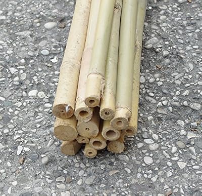 FERRITALIA CANNES DE BAMBOU POUR POTAGER 180 CM