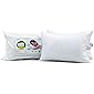 Recron Certified Dream Fibre Pillow (16"x24")