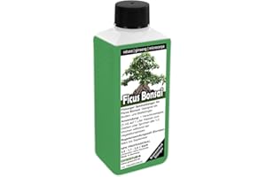 GREEN24 Ficus Ginseng retusa microcarpa Bonsai Dünger, Chinesische Feige, flüssig düngen