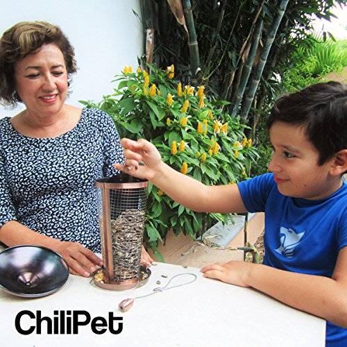 Die beste Vogelfutterstation, perfekt für den Garten, großartige Futterstationen für kleine bis mittelgroße Vögel, leicht zu reinigen und zu befüllen, inklusive Aufhänger für die Futterstation. (Copper) - 3