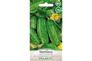 WegAna Pepino Polan F1 Semillas 4g Pepino al aire libre Robusto Semillas de Hortalizas Semillas de Hortalizas Semillas de Cultivo para Invernadero