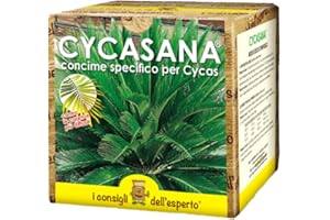 I CONSIGLI DELL'ESPERTO I Consigli dell’Esperto – Cycasana 0.75kg – Concime specifico per Cycas e Piante Tropicali – Concime Bicomponente Idrosolubile NPK+ Zolfo Correttivo del Terreno – Per Ingiallimenti e Disseccamenti