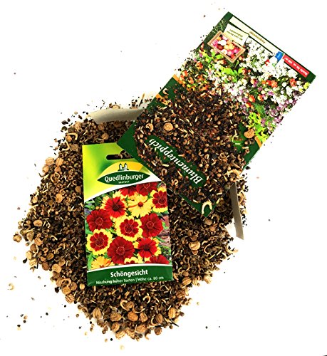 Premium Blumenteppich inkl. 1 Pkg. Schöngesicht kostenlos - 4