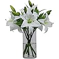 Omygarden 6pcs White Artificial Lily Flower, Faux Plastic Lily, Home Office Garden Wedding Party Decoration