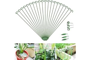 SIYINGSAERY 20 Stück Pflanzenstützen 27 cm Pflanzenhalter Pflanzenstützstäbe Blumenstütze Zimmerpflanzen Pflanzenstützstab Strauchstütze Staudenhalter Garten Stützring Pflanzenhalter für Blume Tomaten