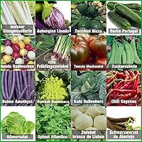 Amazon.es: Kits de cultivo en casa: Jardín
