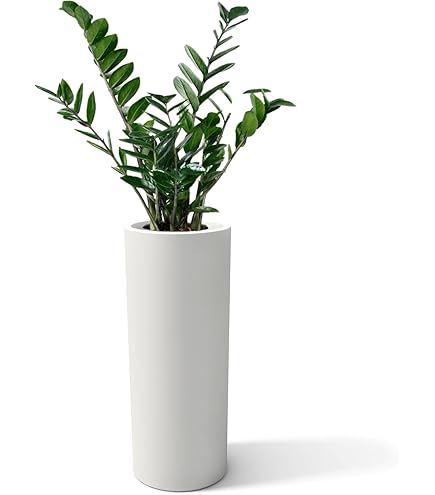 EDA - Pot à réserve d'eau rond 48 cm - Hauteur 80 cm - Contenance 90 L
