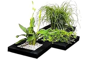 Aquacadabra 25cm Square Floating Plant Island Fish Pond Planter Planting Basket