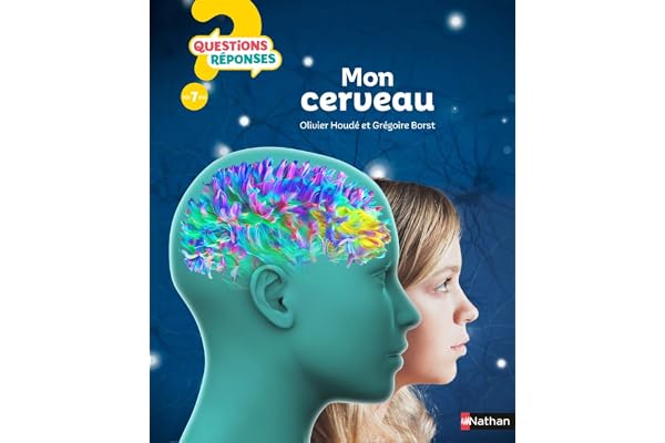 Mon cerveau - Questions/Réponses - doc dès 7 ans