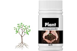 KARELLS Hormone de Bouturage,Poudre D'enracinement,Poudre d'enracinement pour Boutures,Poudre d'enracinement Succulente,pour Les Racines des Plantes D'intérieur Greffes Accélère (Bouteille Noir-100g)