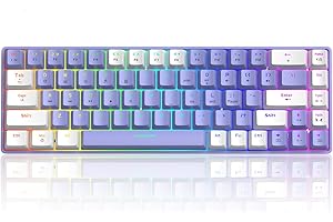 LEXONELEC T8 RGB 60% Tastiera Meccanica, Tastiera da Gioco Cablata Layout Compatto al 65%, 18 RGB Chroma Retroilluminato QWERTY Mini 68 Tasti Full Key Anti-ghosting per PS4, Xbox, Laptop - Blue Switch/Purple