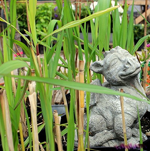 Drache sitzend-grau - 2