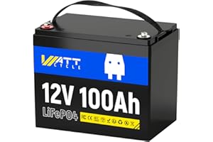 WattCycle Batteria al Litio LiFePO4 12V 100Ah - Gruppo BCI 24, 15.000 Cicli, BMS integrato da 100A, Protezione a bassa Temperatura - Ideale per Camper, Golf Cart, Stoccaggio Energetico Domestico