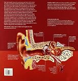 Image de Cuerpo humano (BIBLIOTECA VISUAL)