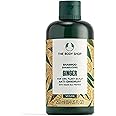 The Body Shop Ginger Shampoo 250 ML - For Dry, Flaky Scalps | Vegan
